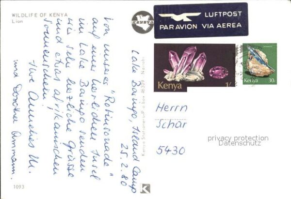 Loewe Kenya – Bild 2