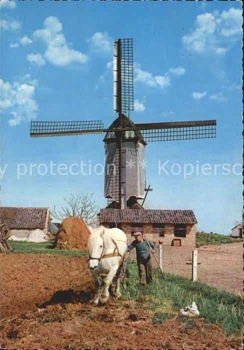 Windmuehle Pferd Pflug Landwirtschaft