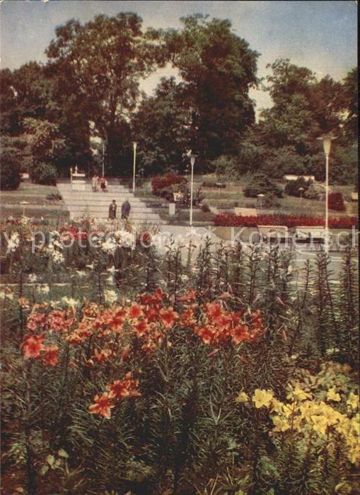 Gartenbauaustellung Erfurt Irisgarten Lilien