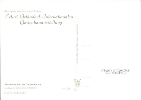 Gartenbauaustellung Erfurt Tulpenfelder – Bild 2