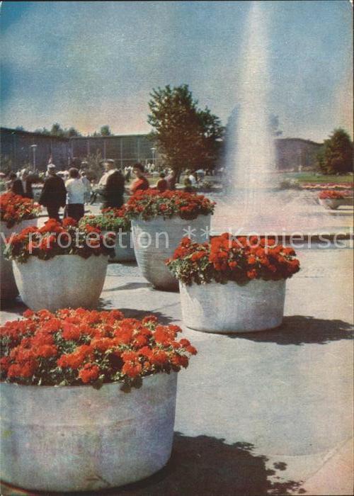 Gartenbauaustellung Erfurt Festplatz Fontäne