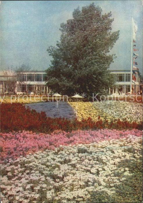 Gartenbauaustellung Erfurt Grosse Blumenwiese