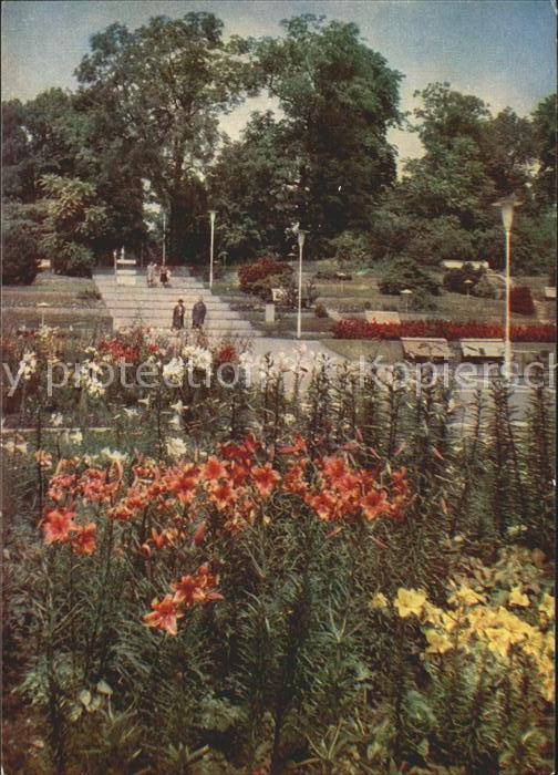 Gartenbauaustellung Erfurt Lilien Irisgarten