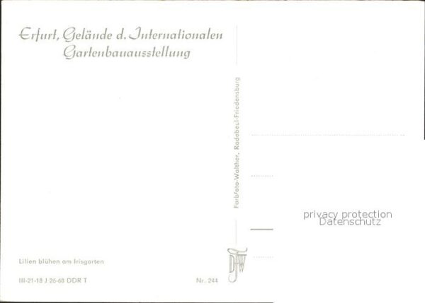 Gartenbauaustellung Erfurt Lilien Irisgarten – Bild 2