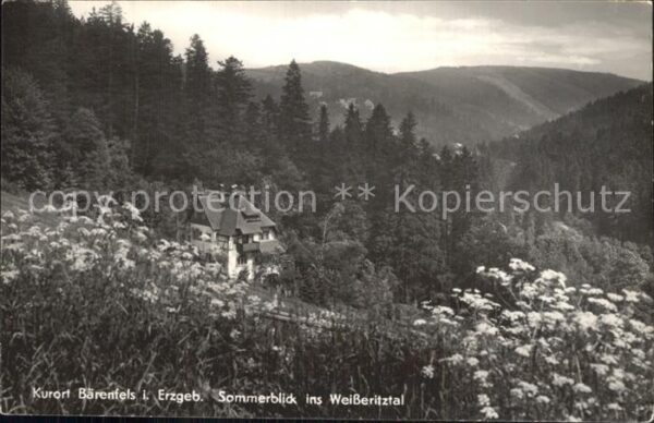 Baerenfels Erzgebirge Weißeritztal