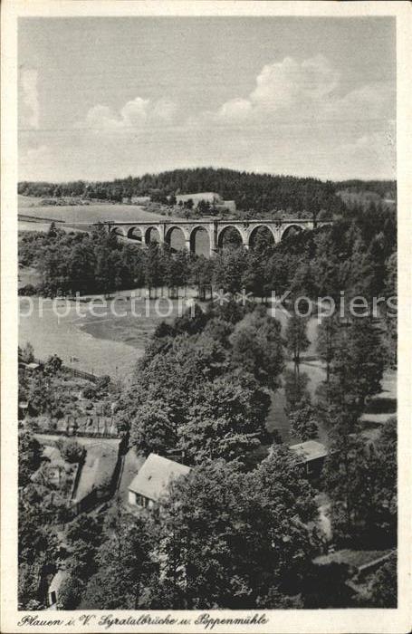 Plauen Vogtland Syratalbrücke mit Mühle