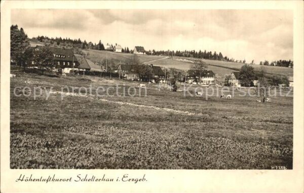 Schellerhau