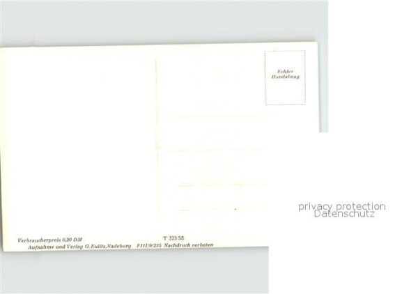 Waldidylle – Bild 2