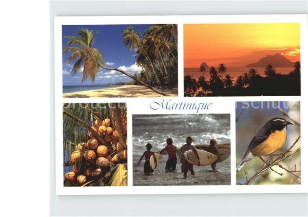Martinique Salines Anse Figuier