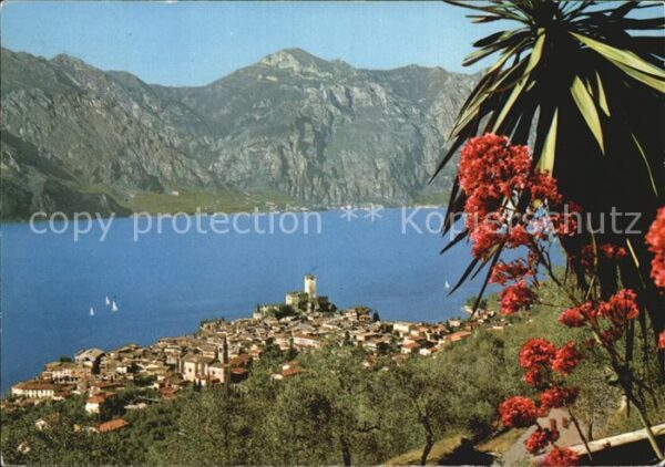 Malcesine Lago di Garda Stadtansicht