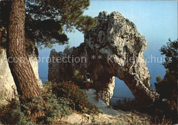 Capri Natürlicher Bogen