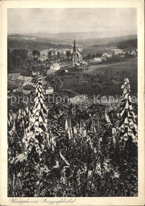 Berggiesshuebel Teilansicht mit Kirche
