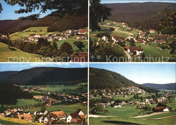 Tonbach Dorfansicht