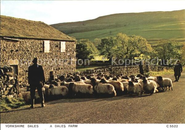 Yorkshire Humber A dales Farm