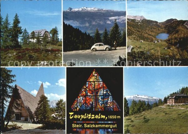 Tauplitzalm Linzer Tauplitzhaus Alpenrosenblüte Ste