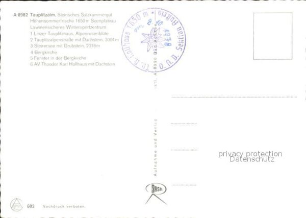 Tauplitzalm Linzer Tauplitzhaus Alpenrosenblüte Ste – Bild 2
