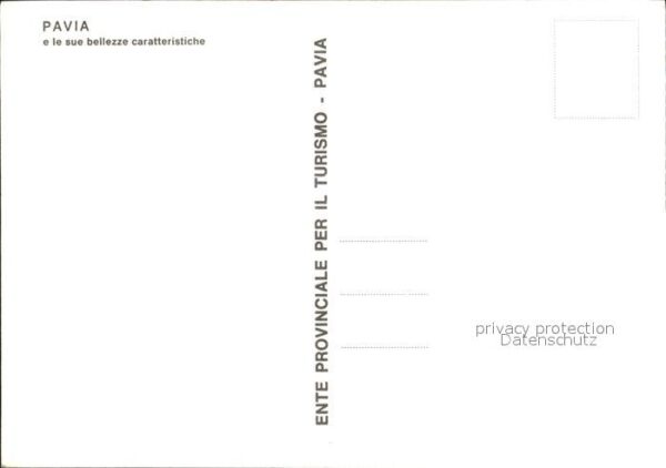 Pavia Pellicceria Annabella – Bild 2