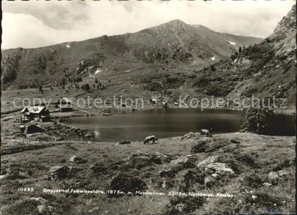 Kaernten Beggasthof Falkerseehütte Moschelitzen