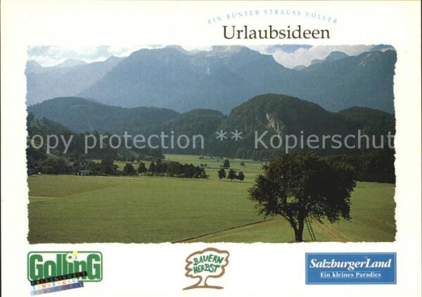 Golling Salzach