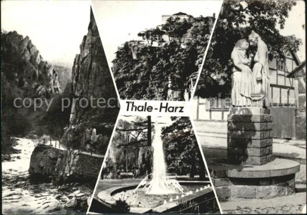 Thale Harz Partie Waldkater Hexentanzplatz Altweib
