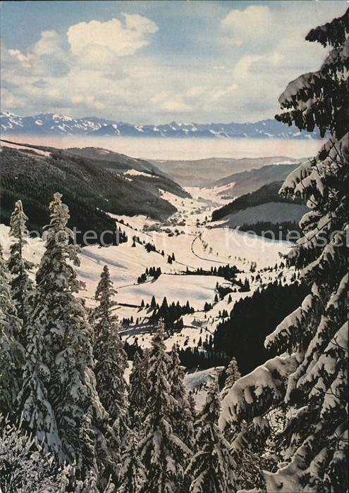 Feldberg Schwarzwald Blick ins Menzenschwander Tal mit Schwe