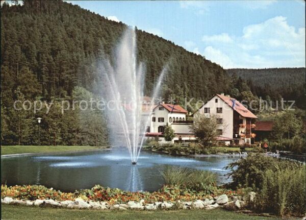 Enzkloesterle Hotel Waldhain Post Fontäne