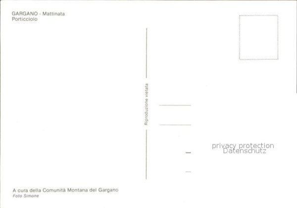 Gargano Mattinata Porticciolo – Bild 2