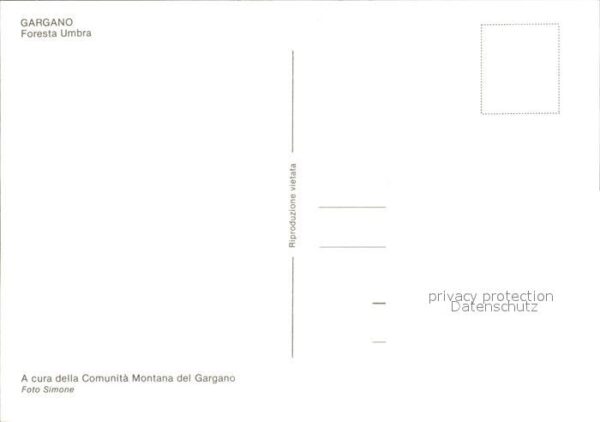 Gargano Foresta Umbra – Bild 2