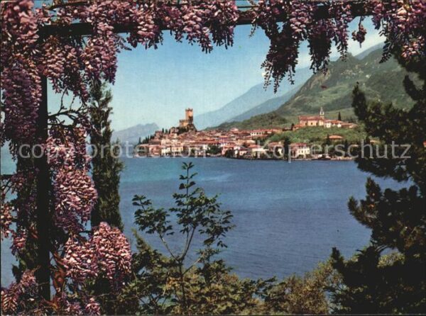 Malcesine Lago di Garda Panorama