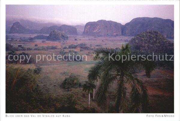 Kuba Val de Vinales