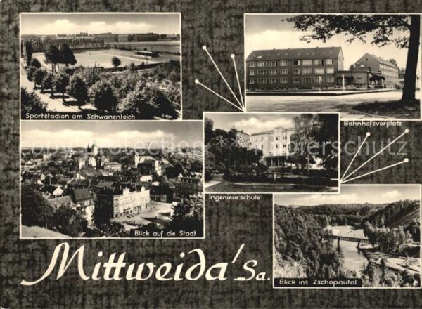 Mittweida Sportstadion Schwanenteich Stadtblick I