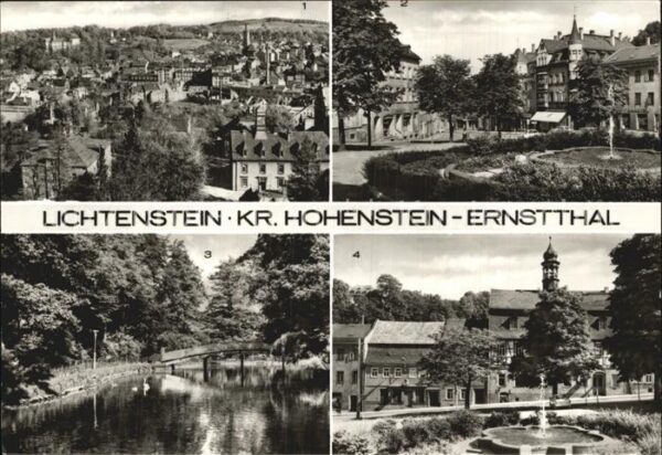 Lichtenstein Hohenstein-Ernstthal Teilansicht Marktplatz Schwanenteich