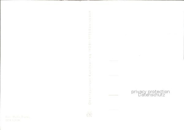 Voegel – Bild 2