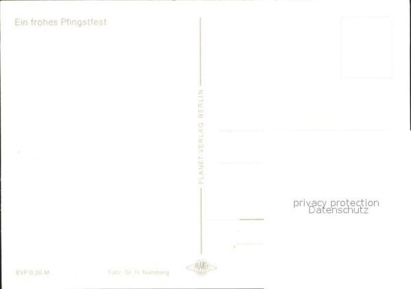 Pferde Pferdewagen Pfingsten – Bild 2