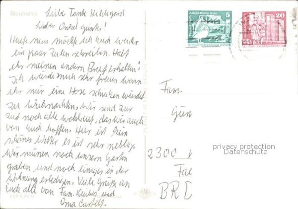 Voegel Blaumeise – Bild 2