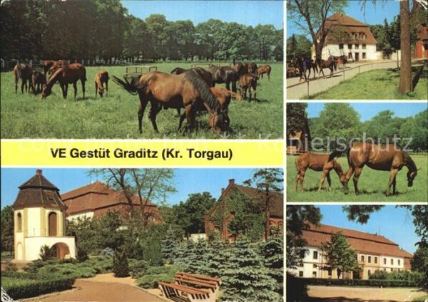 Pferde VE Gestüt Graditz