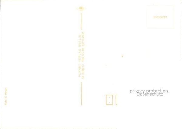 Hasen – Bild 2