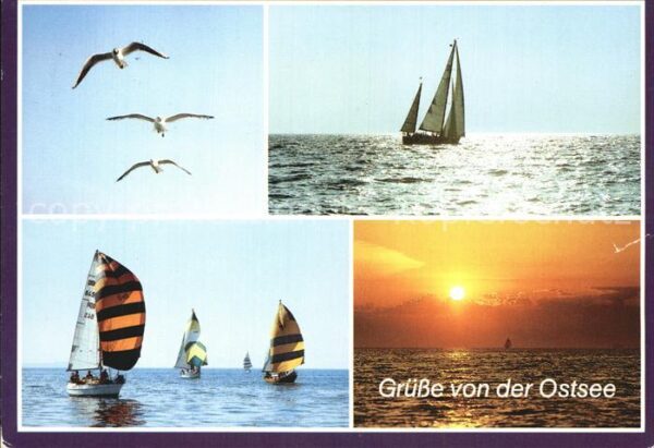 Segelboote Ostsee Möwen