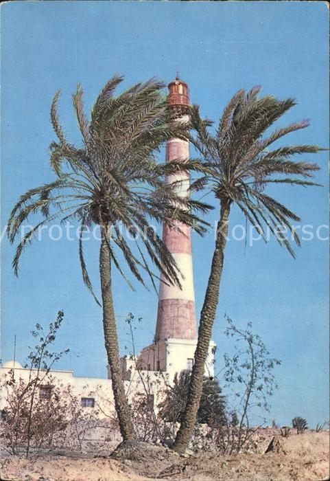 Leuchtturm Lighthouse Phare de Gerba Palmen