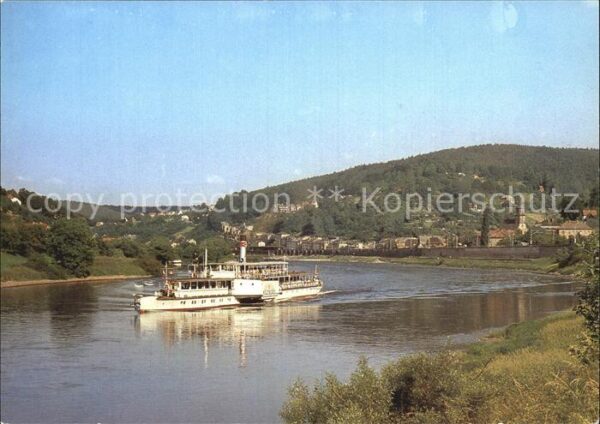 Dampfer Seitenrad Weltfrieden Weisse Flotte Dresden