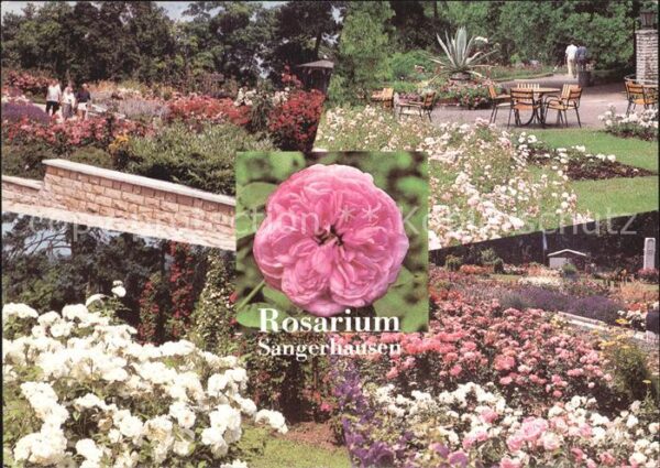 Rosen Rosarium Sangerhausen Rosenpavillon