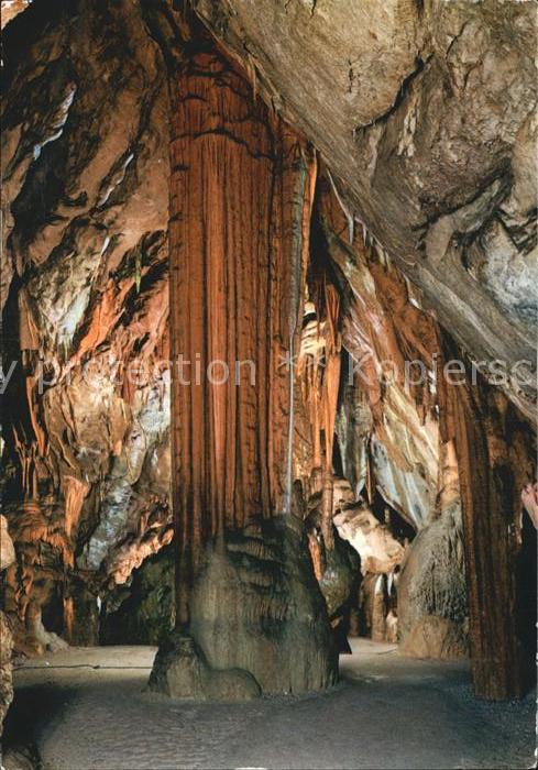 Hoehlen Caves Grottes Postojnska jama