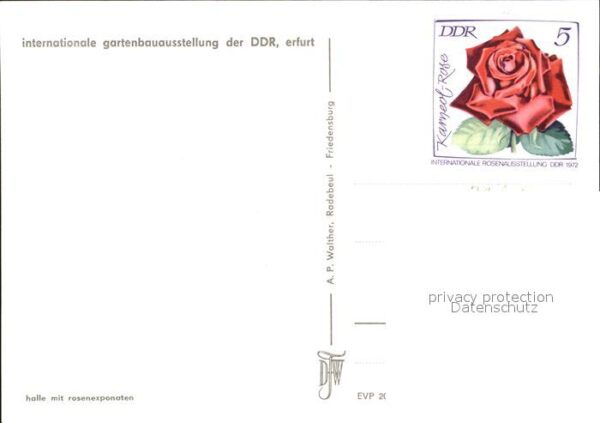 Gartenbauaustellung Erfurt Rosenexponaten – Bild 2