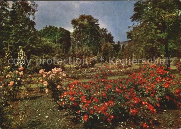 Blumen Parks und Gärten DDR