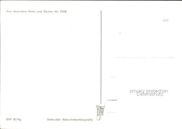 Blumen Parks und Gärten DDR – Bild 2