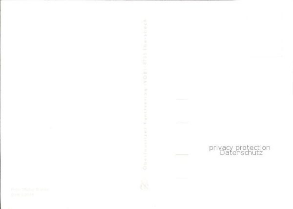Voegel – Bild 2