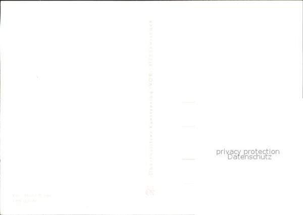Voegel – Bild 2