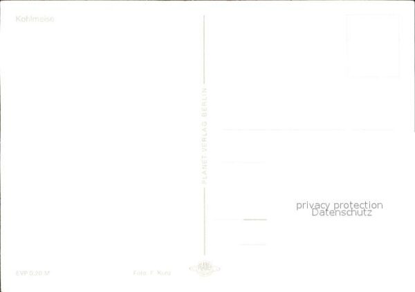 Voegel – Bild 2