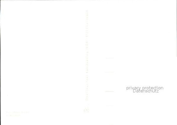 Voegel – Bild 2