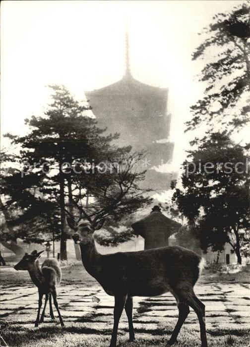 Reh Kofukuji Temple Japan